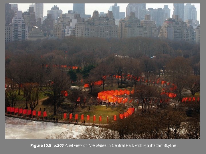 Figure 10. 9, p. 203 Ariel view of The Gates in Central Park with