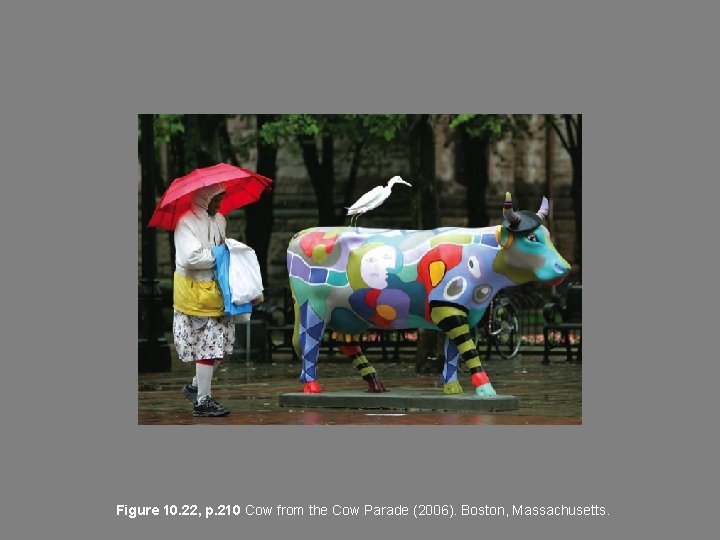 Figure 10. 22, p. 210 Cow from the Cow Parade (2006). Boston, Massachusetts. 
