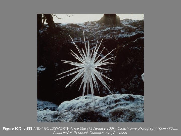 Figure 10. 3, p. 199 ANDY GOLDSWORTHY. Ice Star (12 January 1987). Cibachrome photograph.
