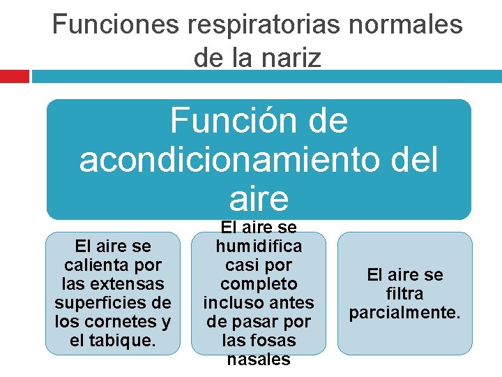 Funciones respiratorias normales de la nariz Función de acondicionamiento del aire El aire se