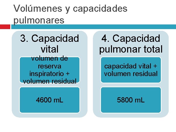 Volúmenes y capacidades pulmonares 3. Capacidad vital volumen de reserva inspiratorio + volumen residual