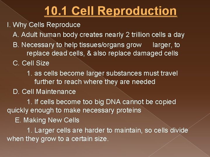 10. 1 Cell Reproduction I. Why Cells Reproduce A. Adult human body creates nearly