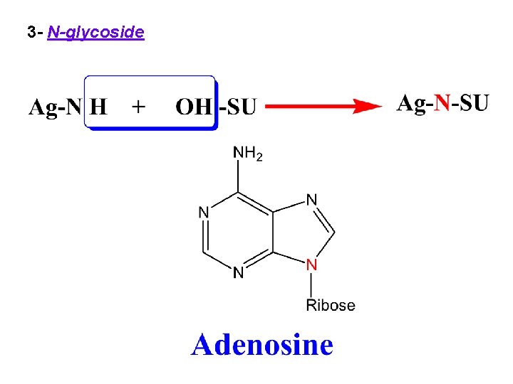 3 - N-glycoside 