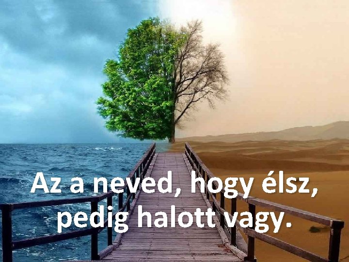 Az a neved, hogy élsz, pedig halott vagy. 