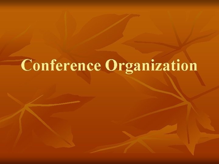 Conference Organization 