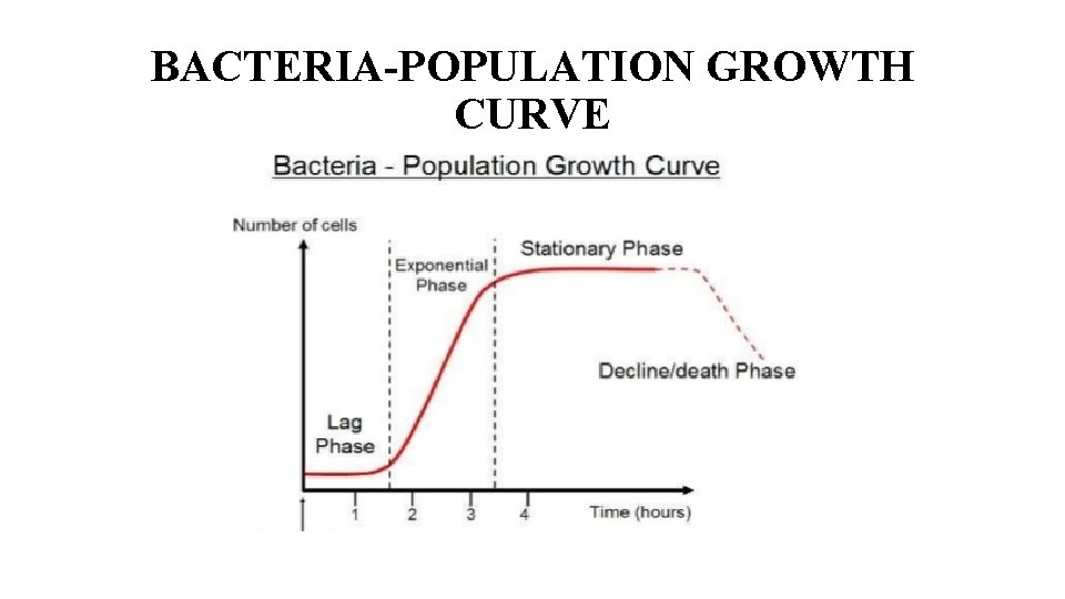BACTERIA-POPULATION GROWTH CURVE 