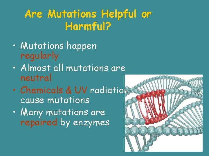 Are Mutations Helpful or Harmful? • Mutations happen regularly • Almost all mutations are