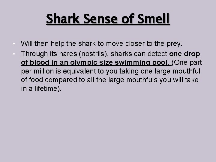 Shark Sense of Smell Will then help the shark to move closer to the