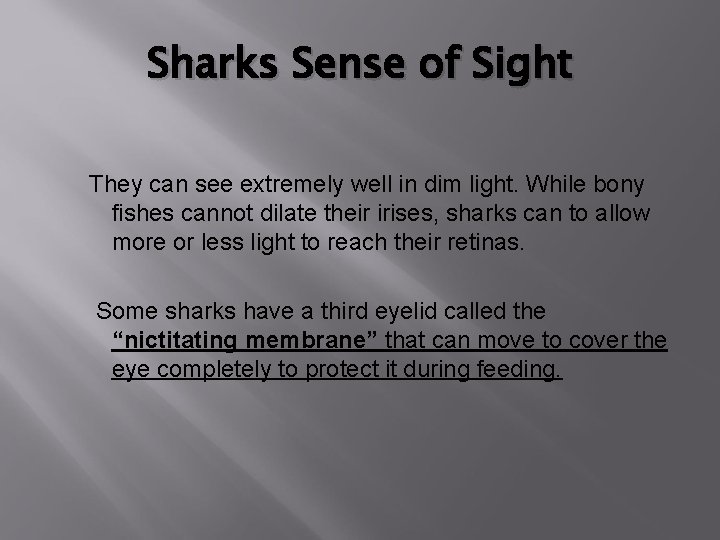 Sharks Sense of Sight They can see extremely well in dim light. While bony