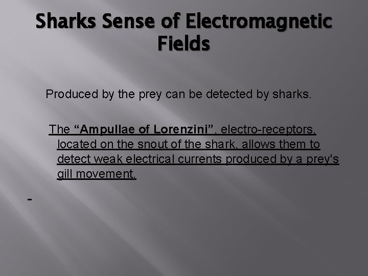 Sharks Sense of Electromagnetic Fields Produced by the prey can be detected by sharks.