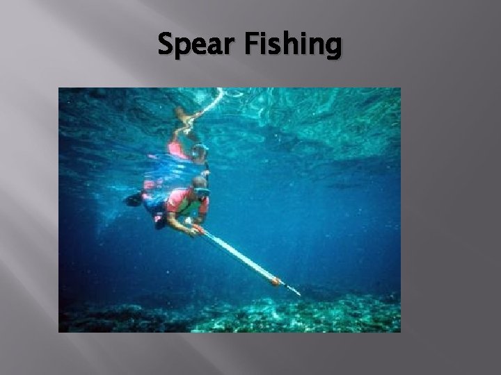 Spear Fishing 