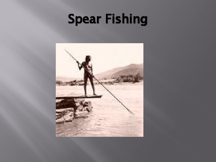 Spear Fishing 
