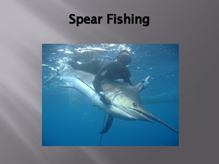 Spear Fishing 