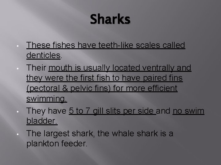 Sharks • • These fishes have teeth-like scales called denticles. Their mouth is usually