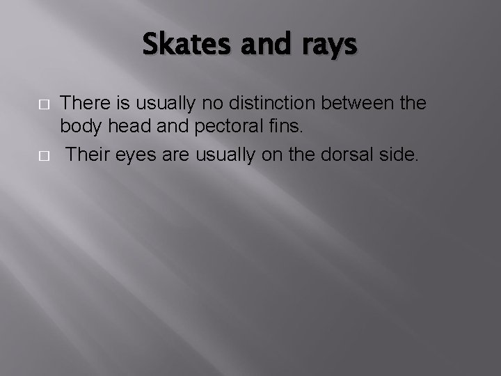 Skates and rays � � There is usually no distinction between the body head