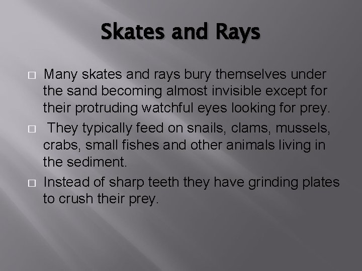 Skates and Rays � � � Many skates and rays bury themselves under the