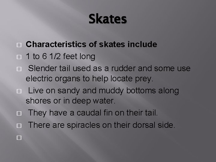 Skates � � � � Characteristics of skates include 1 to 6 1/2 feet