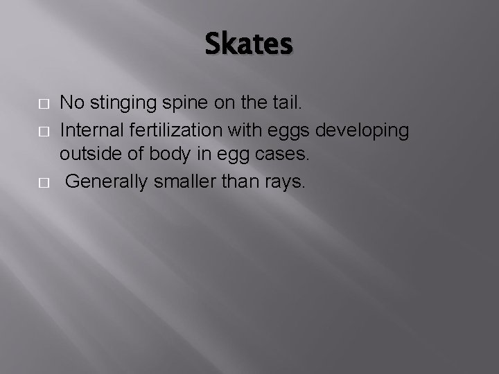 Skates � � � No stinging spine on the tail. Internal fertilization with eggs