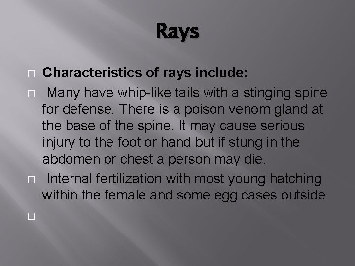 Rays � � Characteristics of rays include: Many have whip-like tails with a stinging