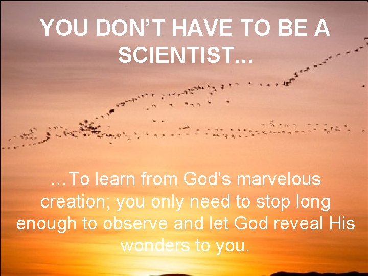 YOU DON’T HAVE TO BE A SCIENTIST. . . …To learn from God’s marvelous