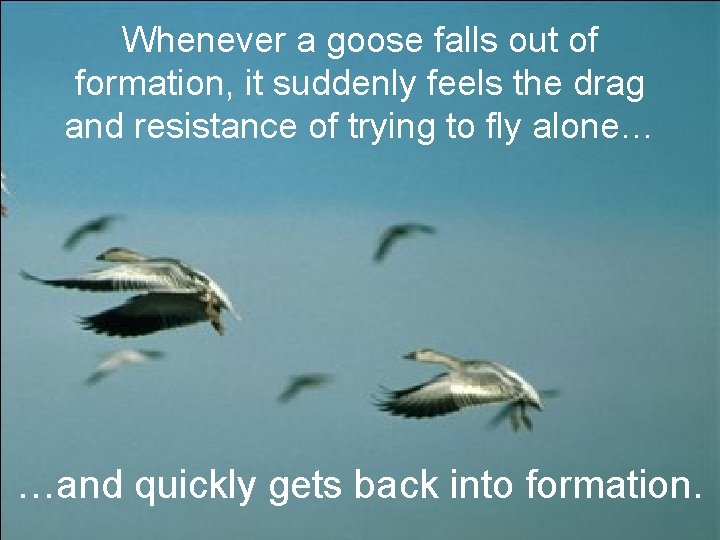 Whenever a goose falls out of formation, it suddenly feels the drag and resistance