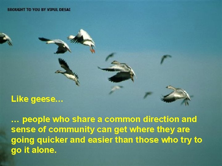 Like geese… … people who share a common direction and sense of community can