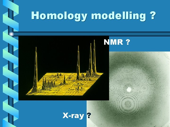 Homology modelling ? NMR ? X-ray ? 