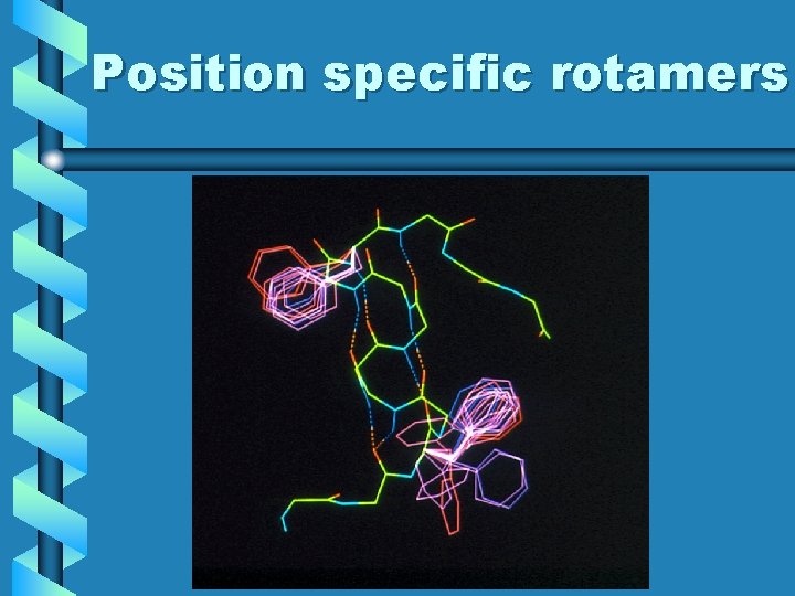 Position specific rotamers 