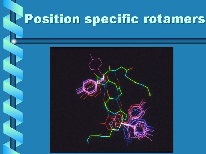 Position specific rotamers 