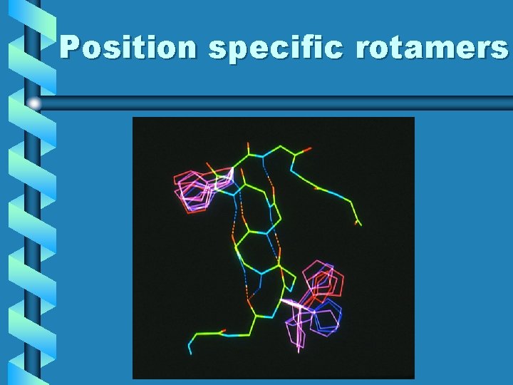 Position specific rotamers 