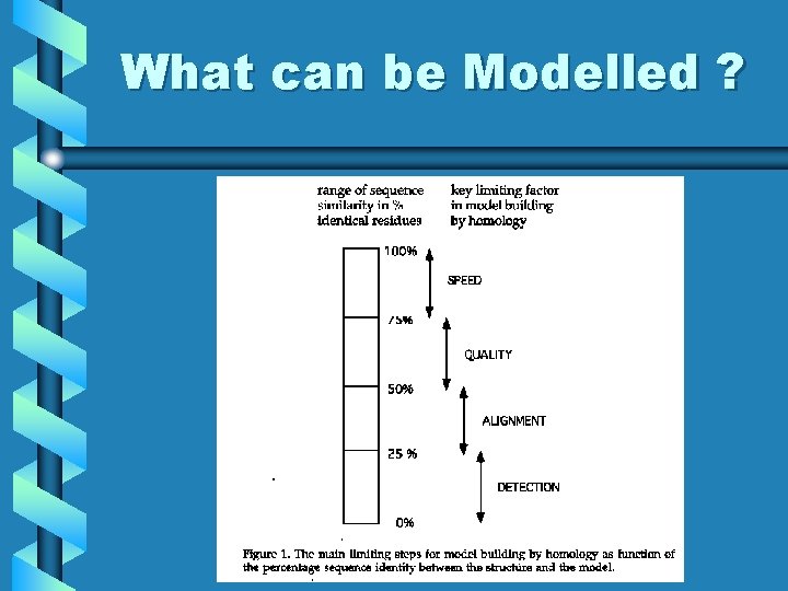 What can be Modelled ? 