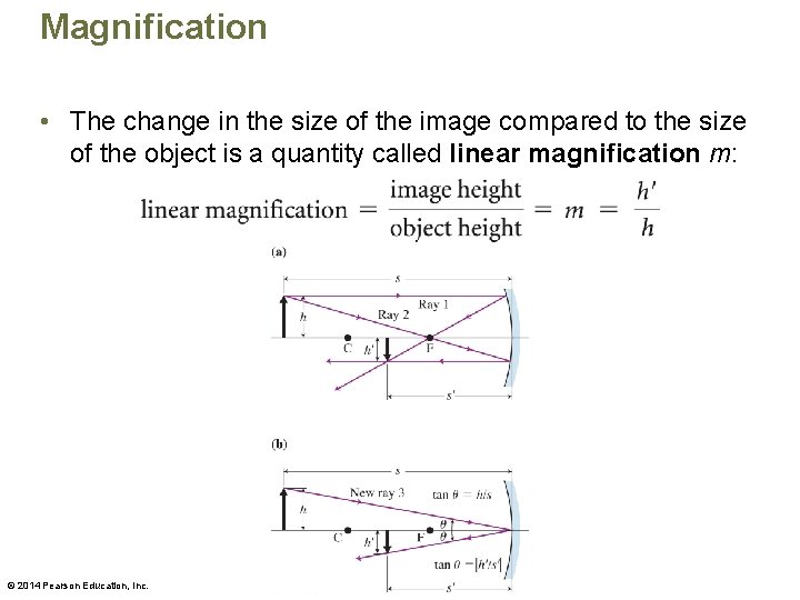 Magnification • The change in the size of the image compared to the size