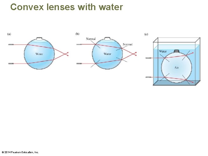 Convex lenses with water © 2014 Pearson Education, Inc. 