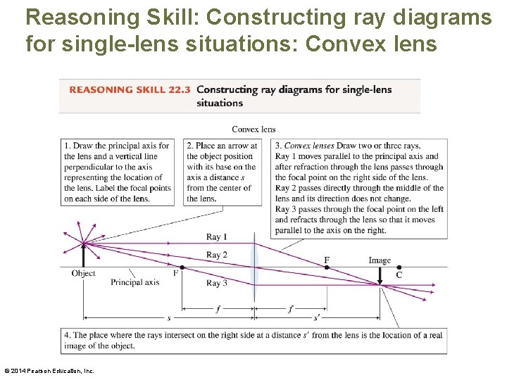 Reasoning Skill: Constructing ray diagrams for single-lens situations: Convex lens © 2014 Pearson Education,