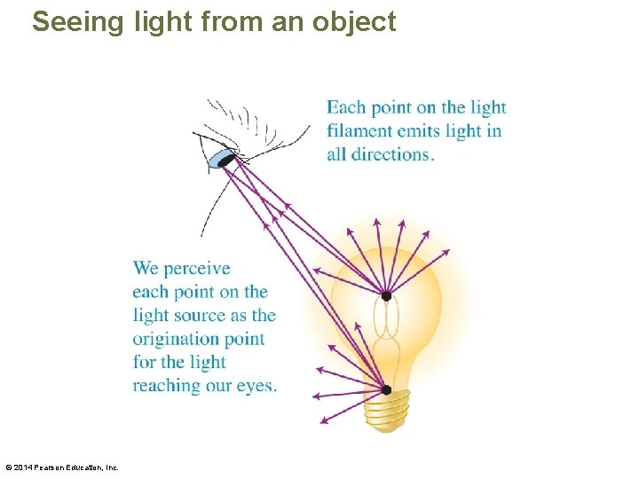 Seeing light from an object © 2014 Pearson Education, Inc. 
