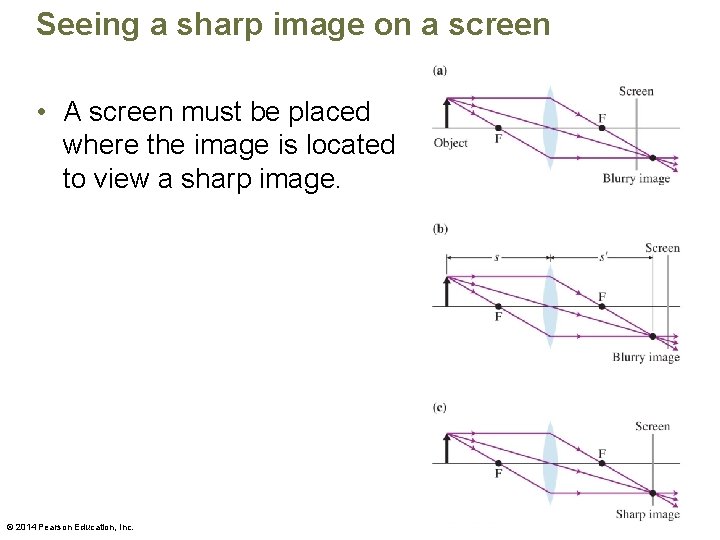 Seeing a sharp image on a screen • A screen must be placed where