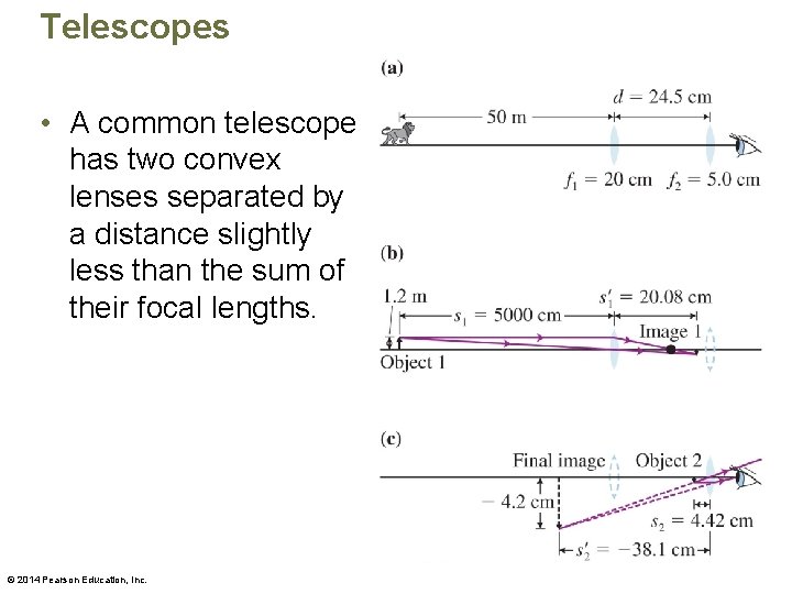 Telescopes • A common telescope has two convex lenses separated by a distance slightly