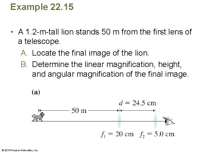 Example 22. 15 • A 1. 2 -m-tall lion stands 50 m from the