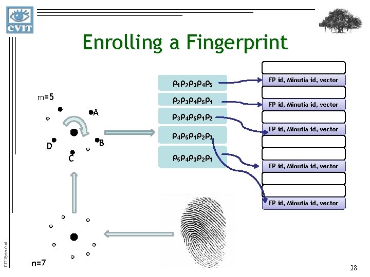 Enrolling a Fingerprint ρ 1ρ 2ρ 3ρ 4ρ 5 m=5 ρ 2ρ 3ρ 4ρ