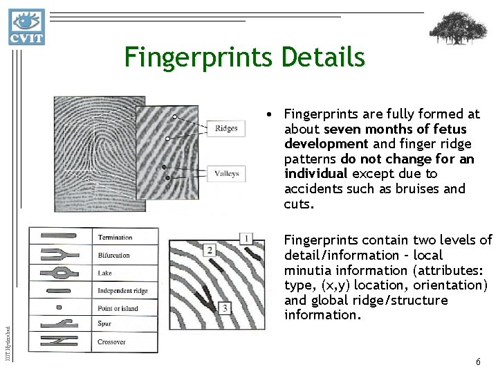 Fingerprints Details • Fingerprints are fully formed at about seven months of fetus development