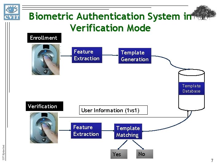 Biometric Authentication System in Verification Mode Enrollment Feature Extraction Template Generation Template Database Verification