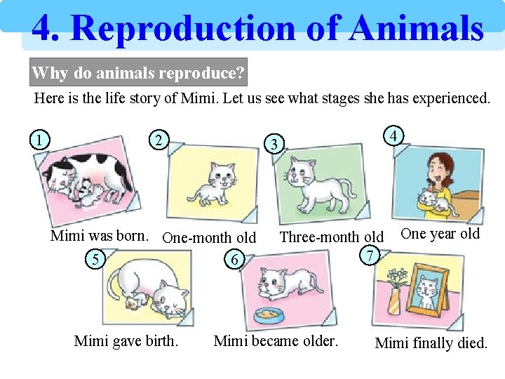4. Reproduction of Animals Why do animals reproduce? Here is the life story of