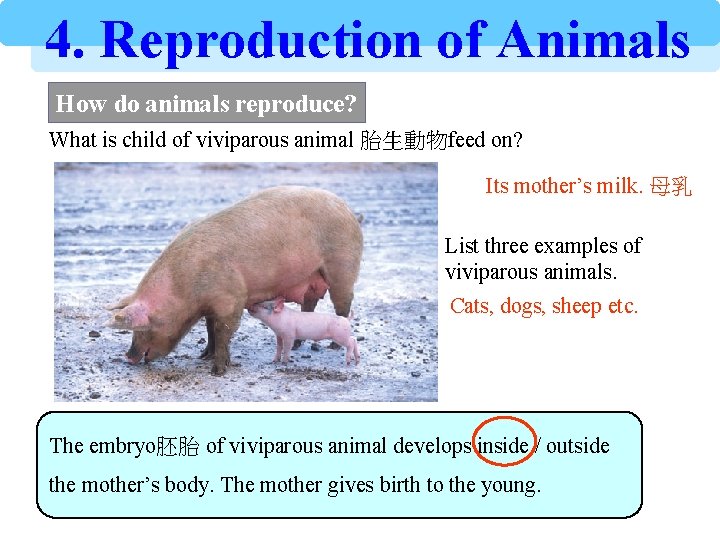 4. Reproduction of Animals How do animals reproduce? What is child of viviparous animal
