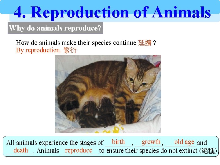 4. Reproduction of Animals Why do animals reproduce? How do animals make their species