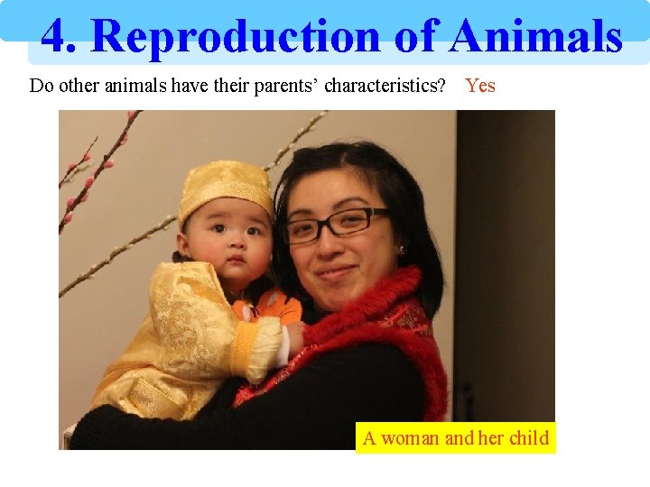4. Reproduction of Animals Do other animals have their parents’ characteristics? Yes A woman