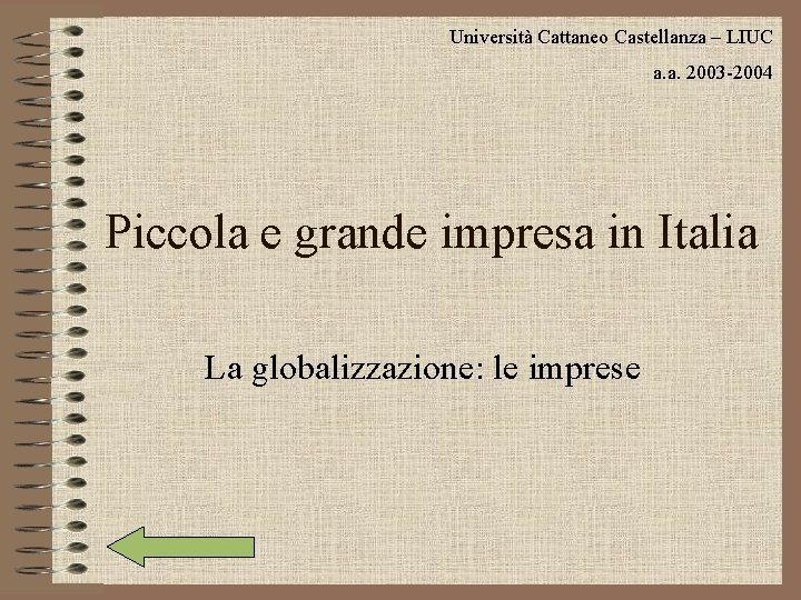 Università Cattaneo Castellanza – LIUC a. a. 2003 -2004 Piccola e grande impresa in