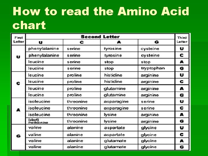 How to read the Amino Acid chart 