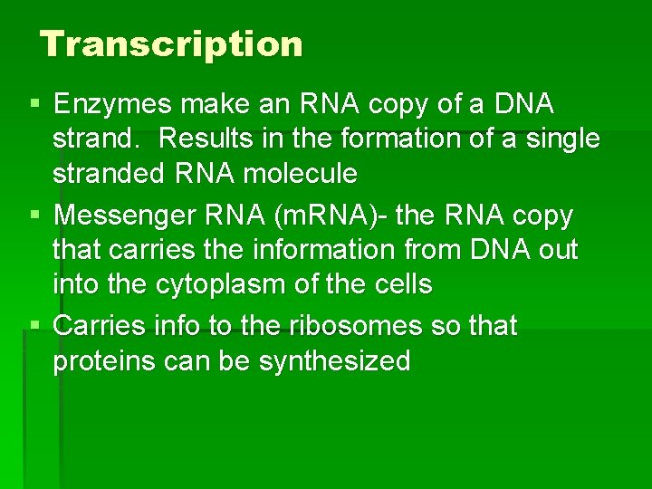 Transcription § Enzymes make an RNA copy of a DNA strand. Results in the