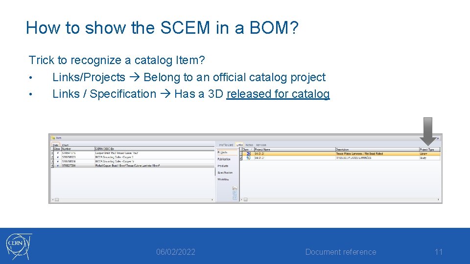 How to show the SCEM in a BOM? Trick to recognize a catalog Item?