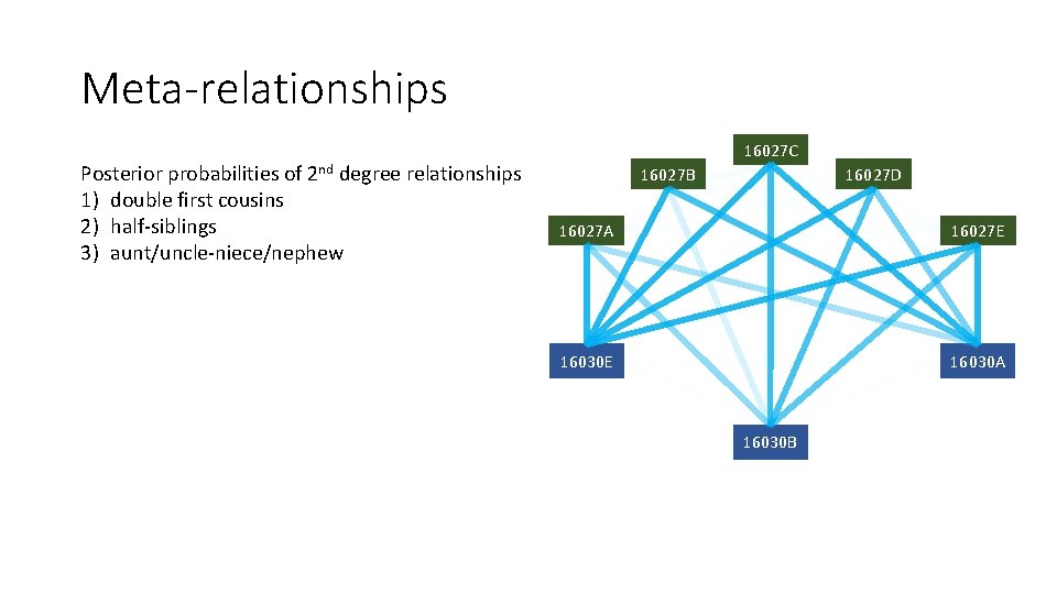 Meta-relationships Posterior probabilities of 2 nd degree relationships 1) double first cousins 2) half-siblings